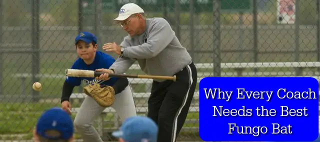 Coach Using Fungo Bat