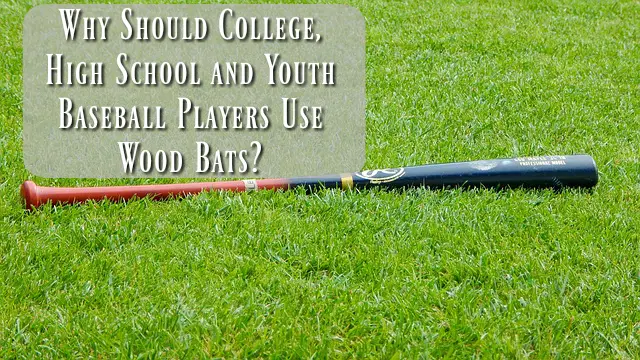 Why Use Wood Bats