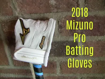 The 2018 Mizuno Pro Batting Gloves