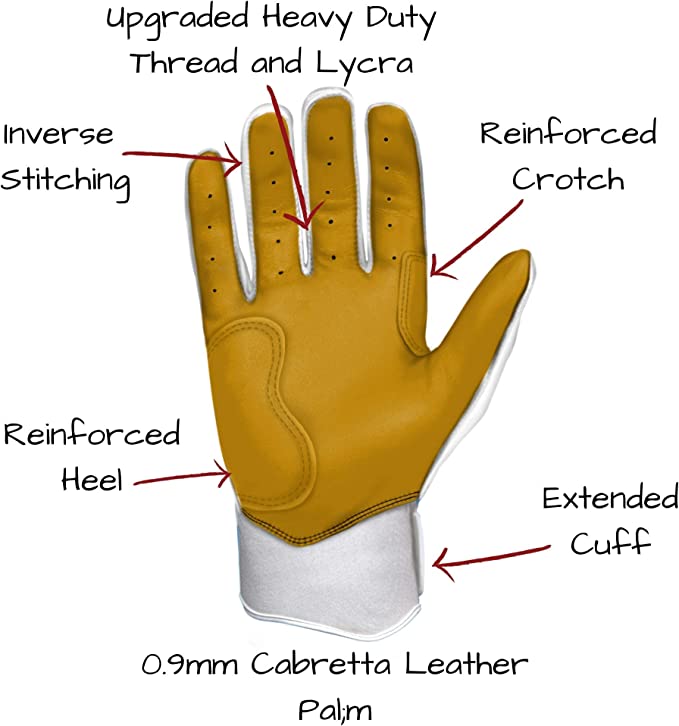 Bolt Batting Gloves Info Graphic